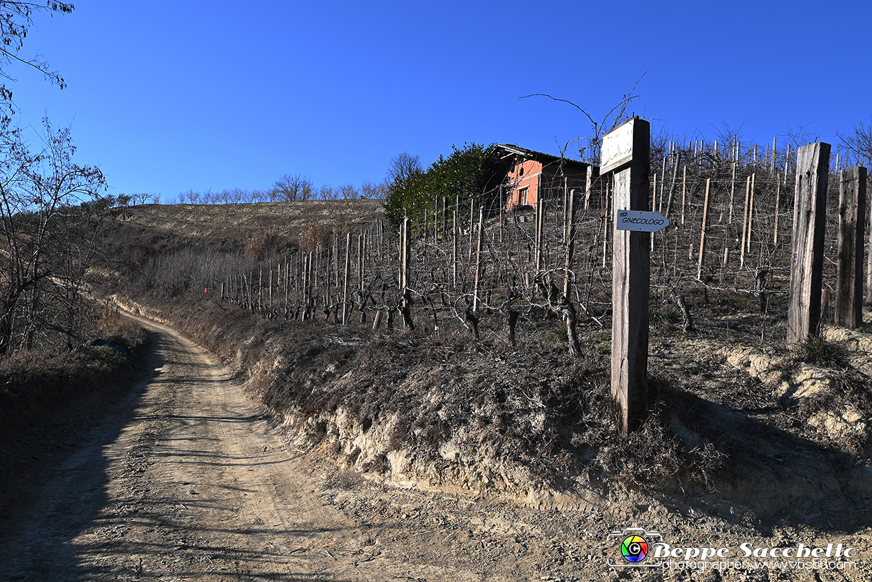 VBS_0876 - Corneliano d'Alba.jpg